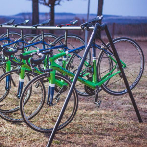 ca28ee7c5eb6e9db539e848e68955af5