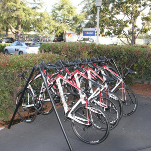 d74a748d692f9834e7ddd66bddb4f55f