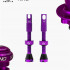 Ниппель бескамерный Peaty's Chris King (MK2) Tubeless Valves 42mm 2 шт. Violet (PTV2-42-VLT-12)