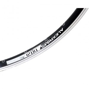 alexrims dh19