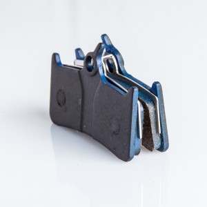 DP09B_2000x
